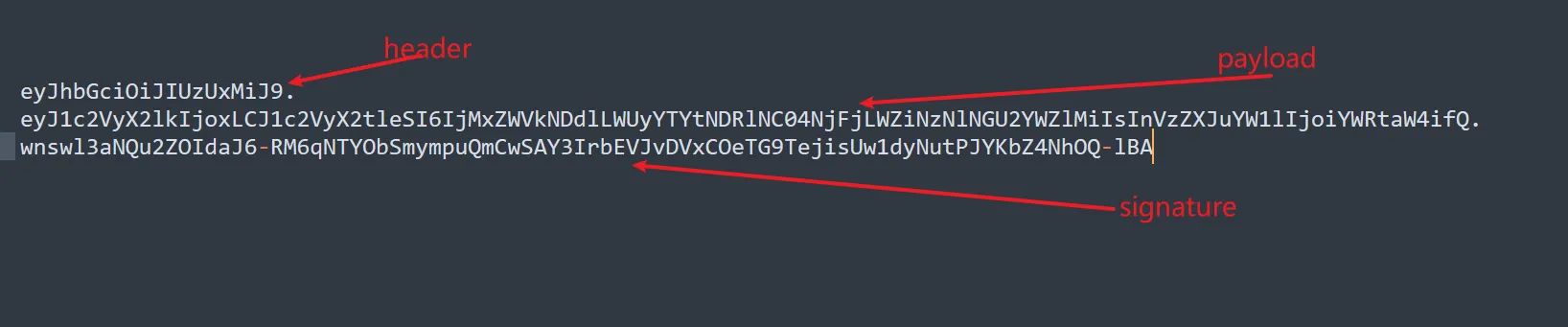 image-20250219163611278